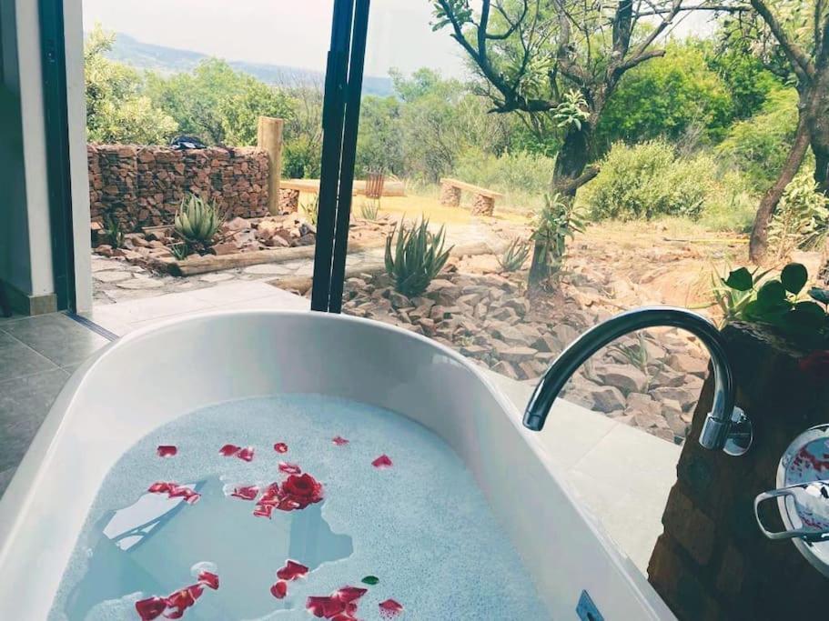 Rocky Road Mountain Lodge Pretoria-Noord 外观 照片
